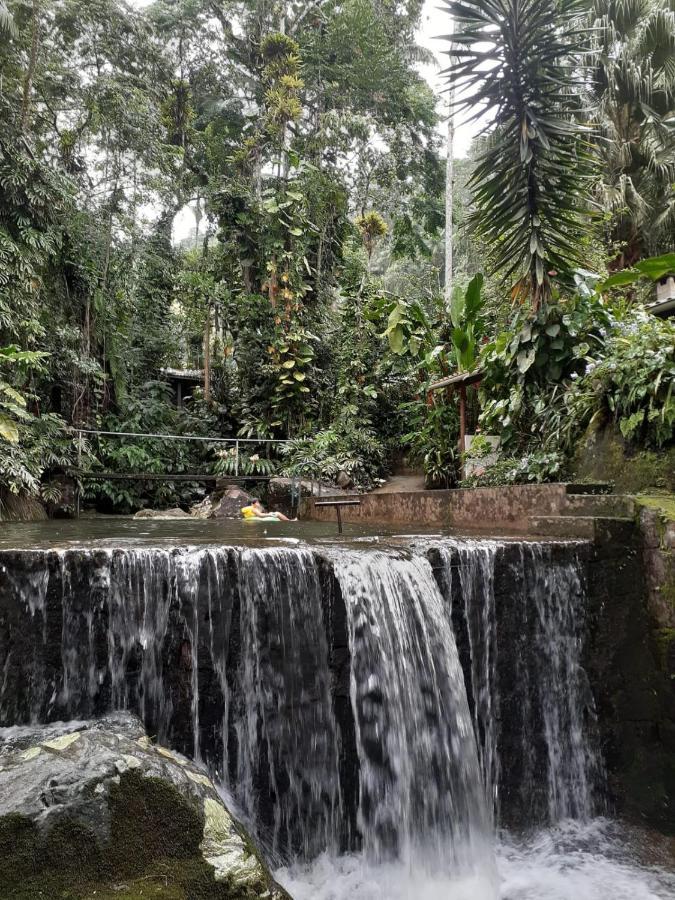 Appartamento Toca Da Onca Penedo  Esterno foto